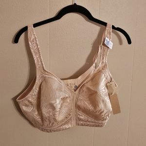 Wingslove Wire Free Beige Nude 42C Bra